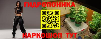 трава Будённовск