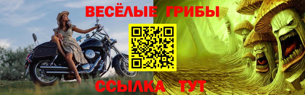Галлюциногенные грибы мицелий  Вход с VPN  Сургут  Псилоцибиновые грибы прущие грибы 